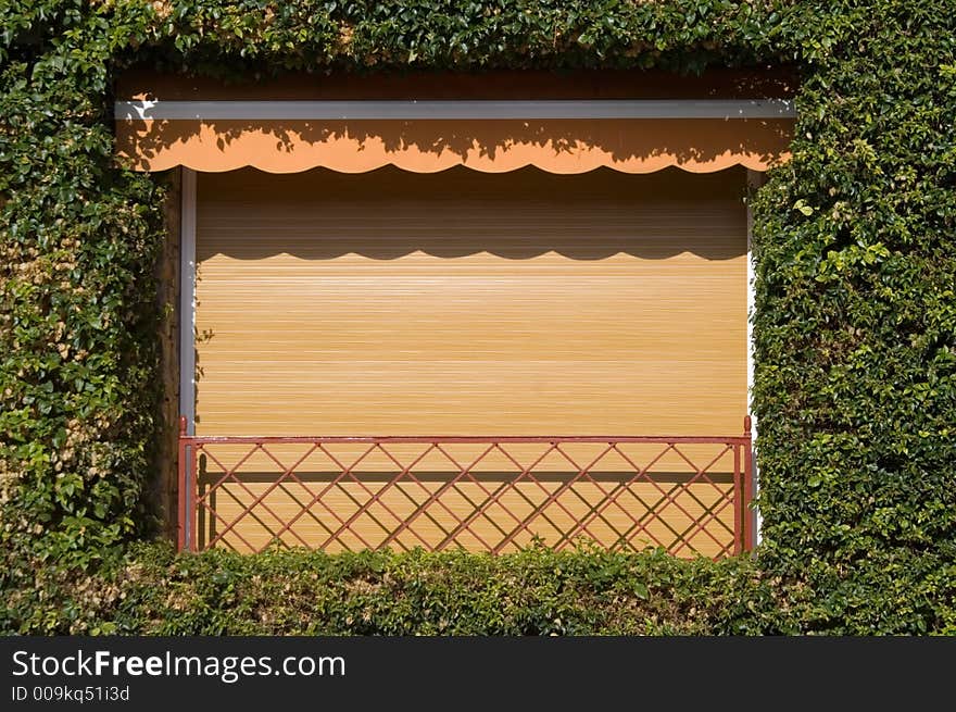 A modern window on a green background