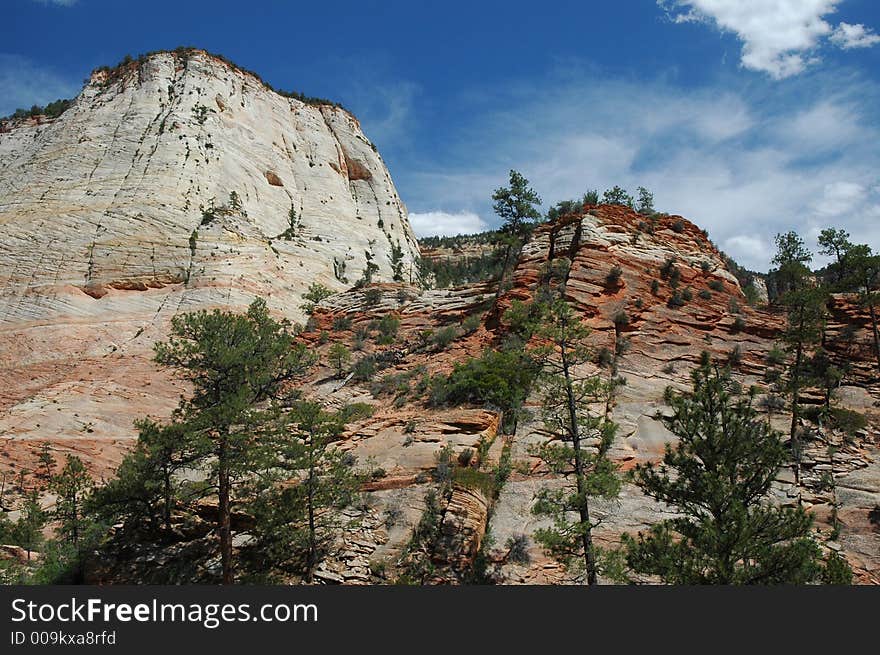 Zion national park mountain view