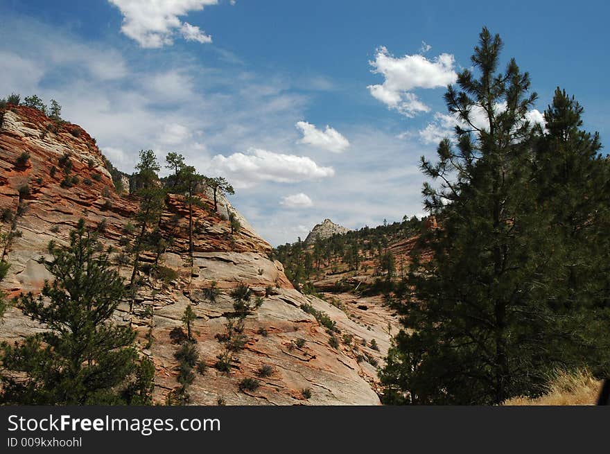 Zion national park mountain view