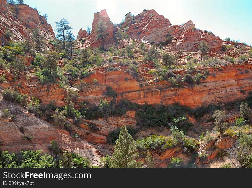 Zion national park mountain view