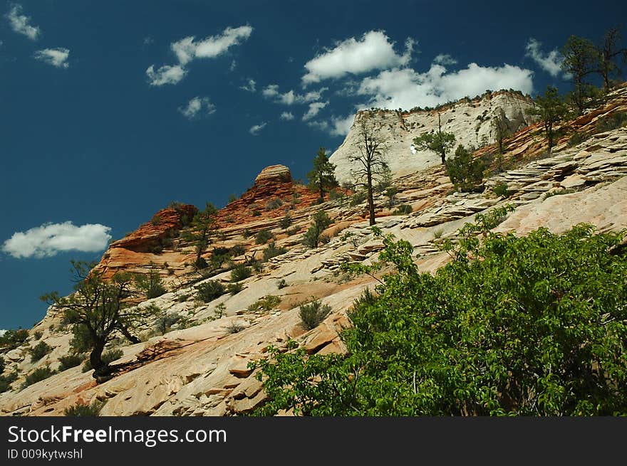 Zion national park mountain view