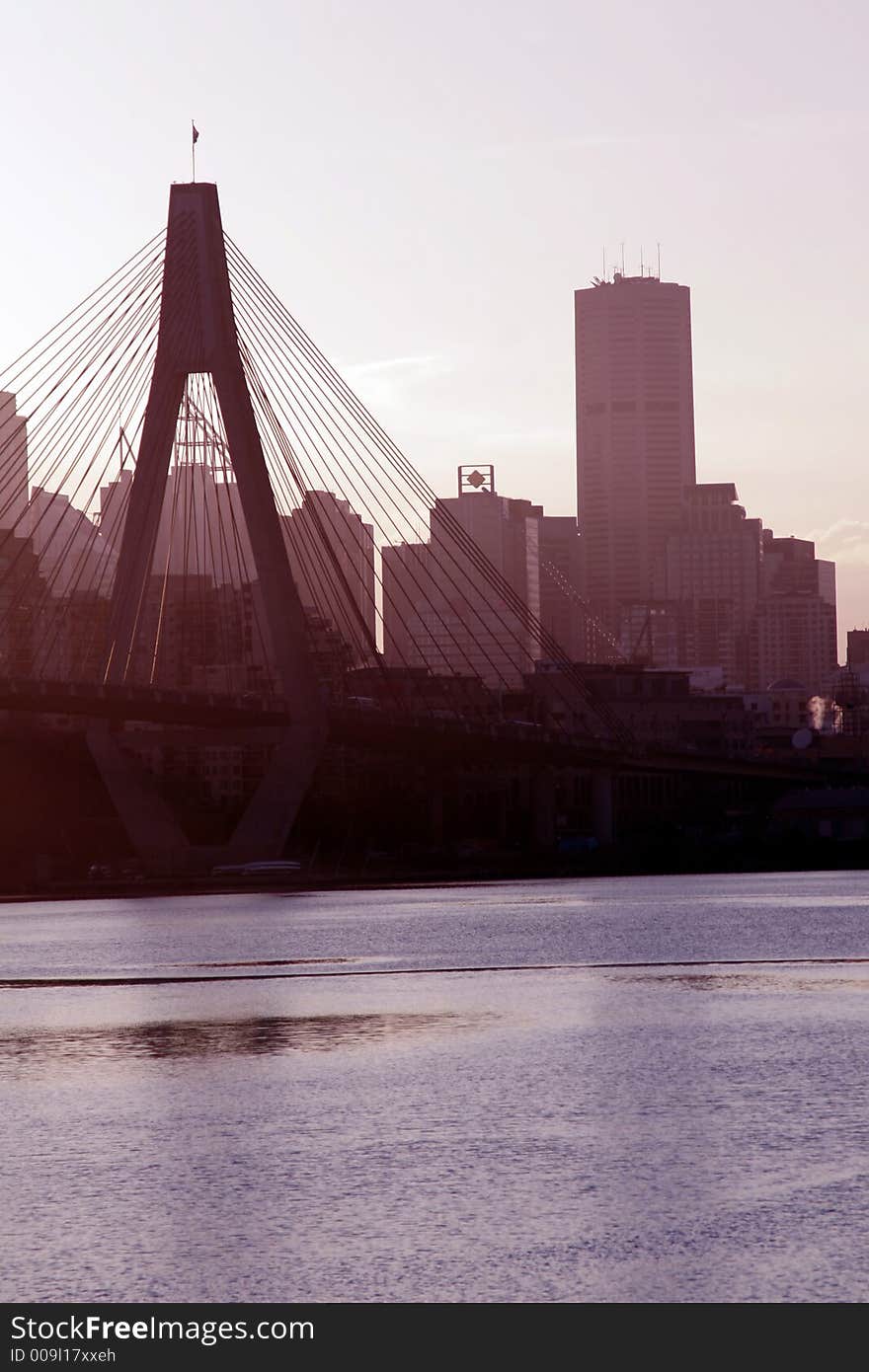 Anzac Bridge In Evening Light