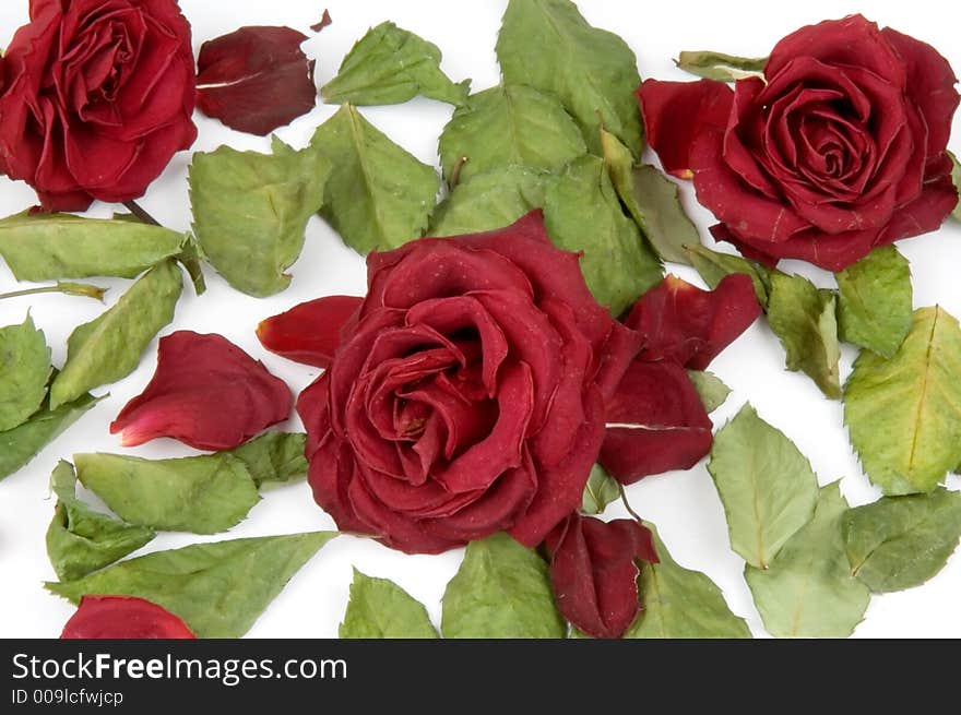 Red rose petals, buds and green leaves