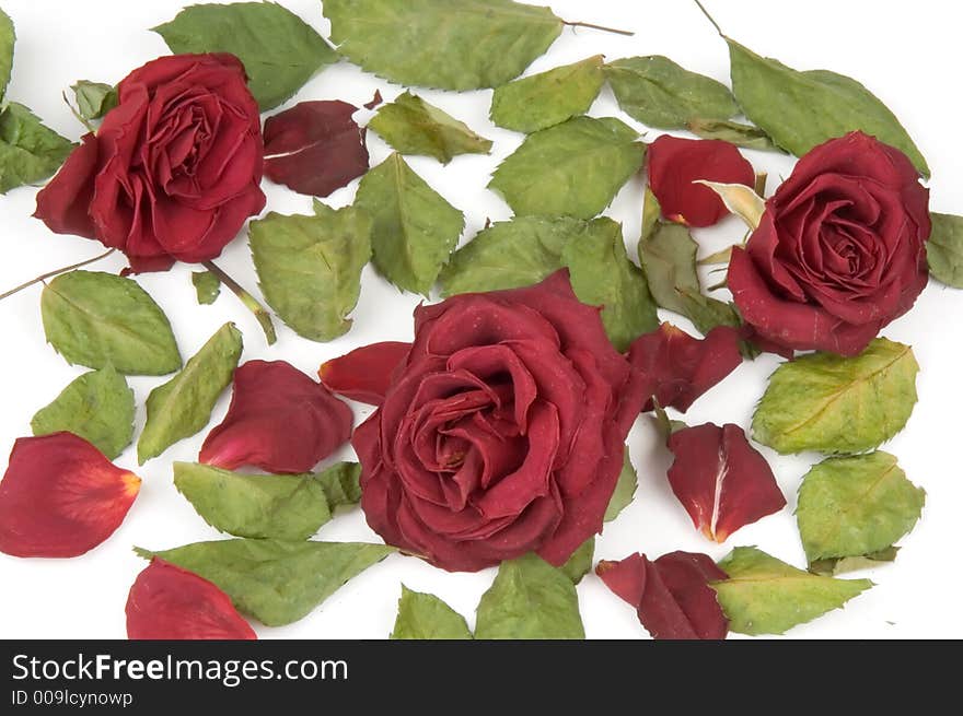 Red rose petals, buds and green leaves