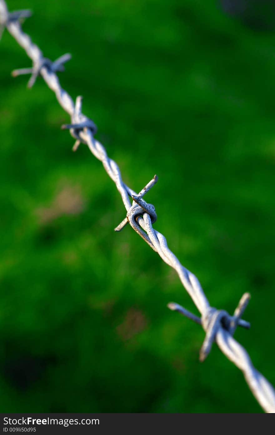 Barbed wire fence against a blurry green background. Barbed wire fence against a blurry green background