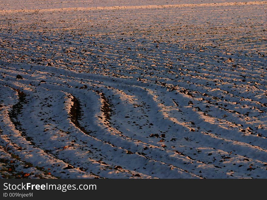 Plowed wintery field