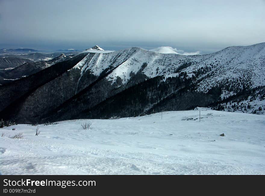 Winter landscape