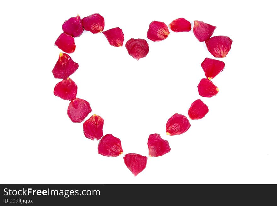 Heart frame from red rose petals over white background