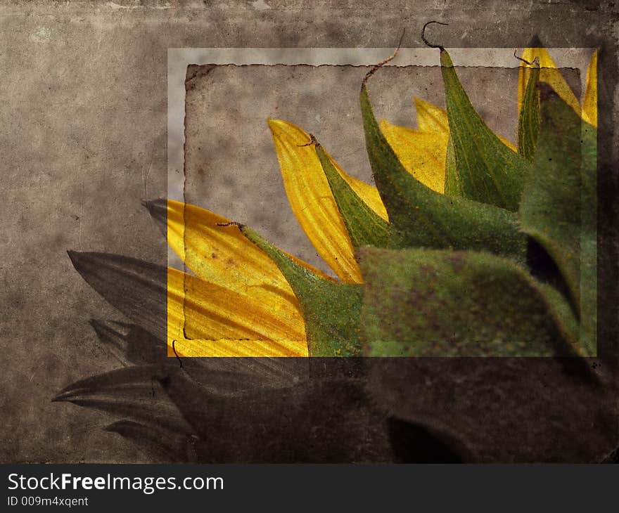 Mixed media illustration of grunge background with sunflower. Mixed media illustration of grunge background with sunflower