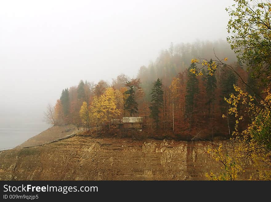 Lake coast forest at Vidraru Dam - Romania, 166 m hight, 465 millions mc, build in 1966