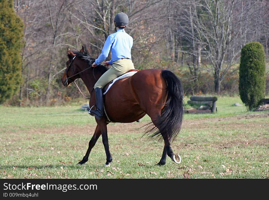 A lady on horseback, English style. A lady on horseback, English style