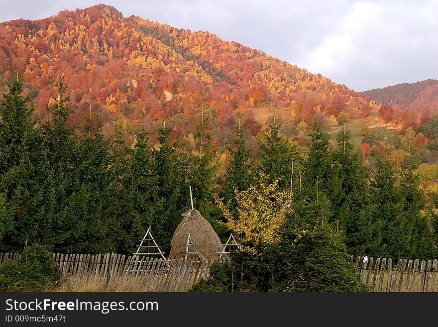 Red Hill Landscape