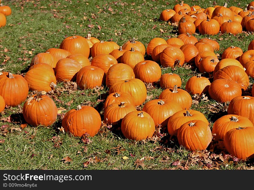 Halloween pumpkins