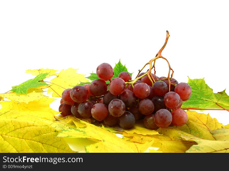 Red Grapes On Leaves