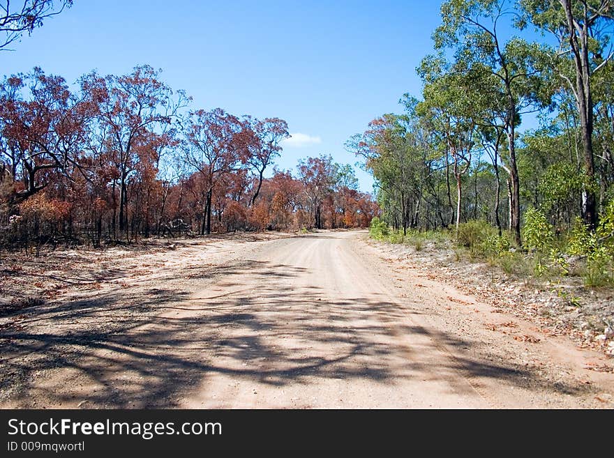 Image presented as a metaphor for business with one side of the track destroyed by fire and the other untouched. I am sure you can see the potential. Image presented as a metaphor for business with one side of the track destroyed by fire and the other untouched. I am sure you can see the potential.