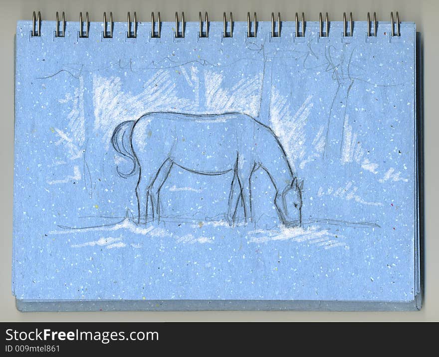 A drawing of a horse hand drawn with grey pencil and white chalk on a blue sketchbook. A drawing of a horse hand drawn with grey pencil and white chalk on a blue sketchbook