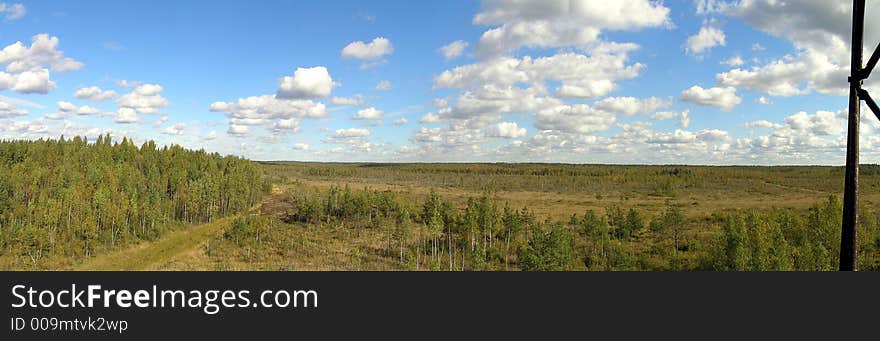 Panorama from watch-tower in the wood. Panorama from watch-tower in the wood