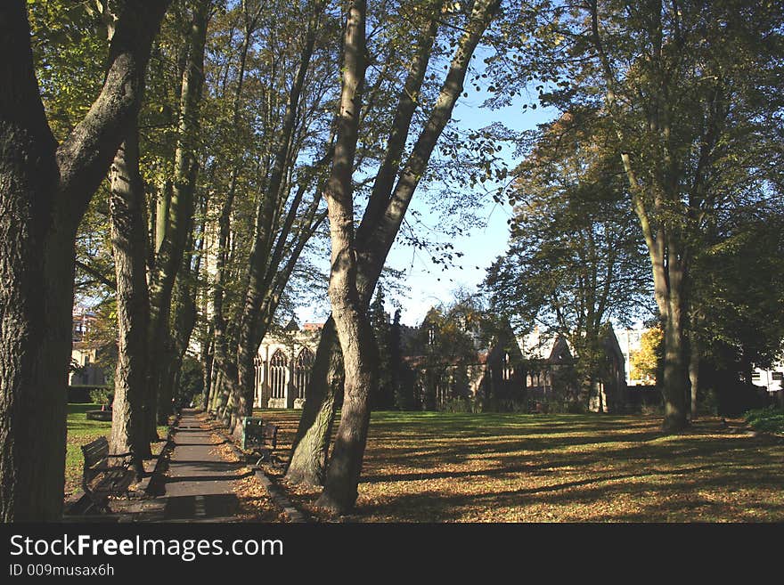 Park in Autumn