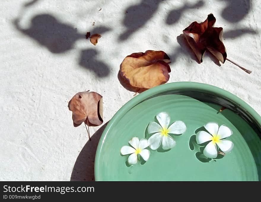 Some dry leaves and flowers on the Maldives beach. Some dry leaves and flowers on the Maldives beach