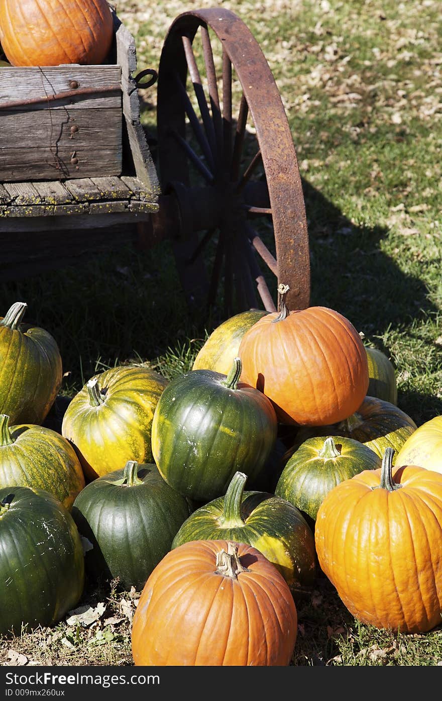 A selection of orange, green and yellow pumpkins by an old wagon. A selection of orange, green and yellow pumpkins by an old wagon