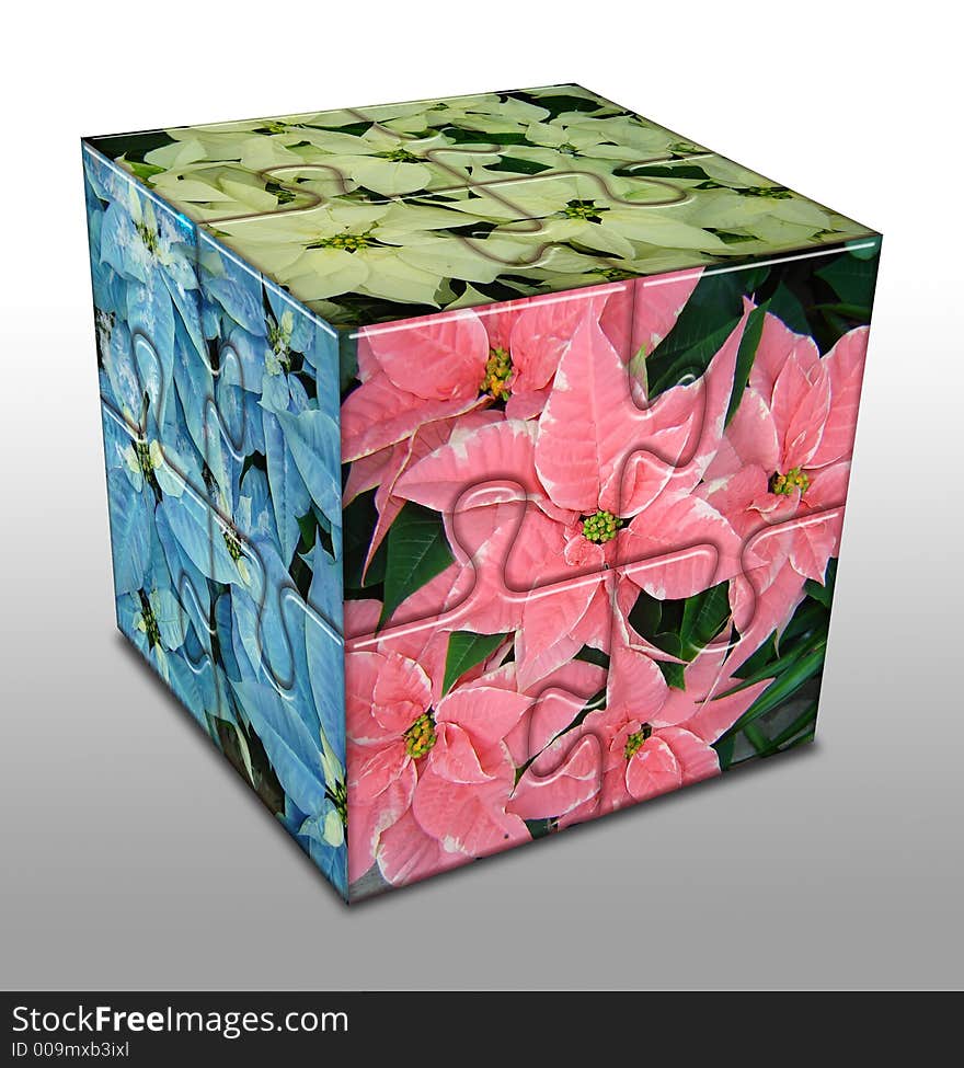 Cube with poinsettia