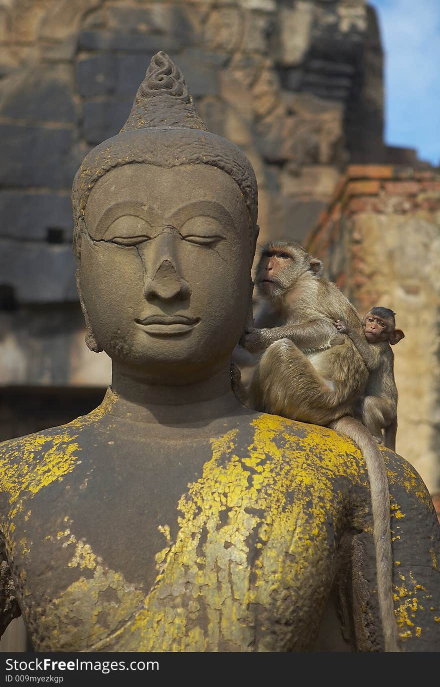 Monkey living in kala wat shrine in lopburi town, Thailand. Monkey living in kala wat shrine in lopburi town, Thailand