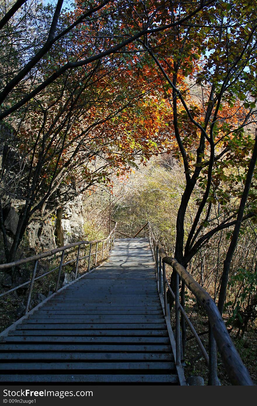 Thousands of steps to climbing up for beauty. Thousands of steps to climbing up for beauty