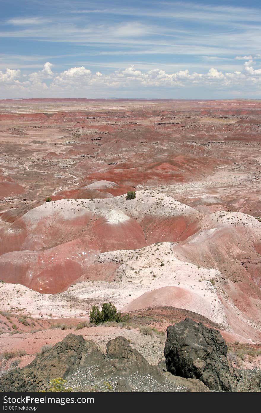 Painted desert