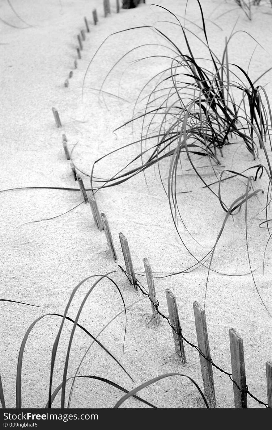 Sand dunes at the beach with grasses and fence. Sand dunes at the beach with grasses and fence.