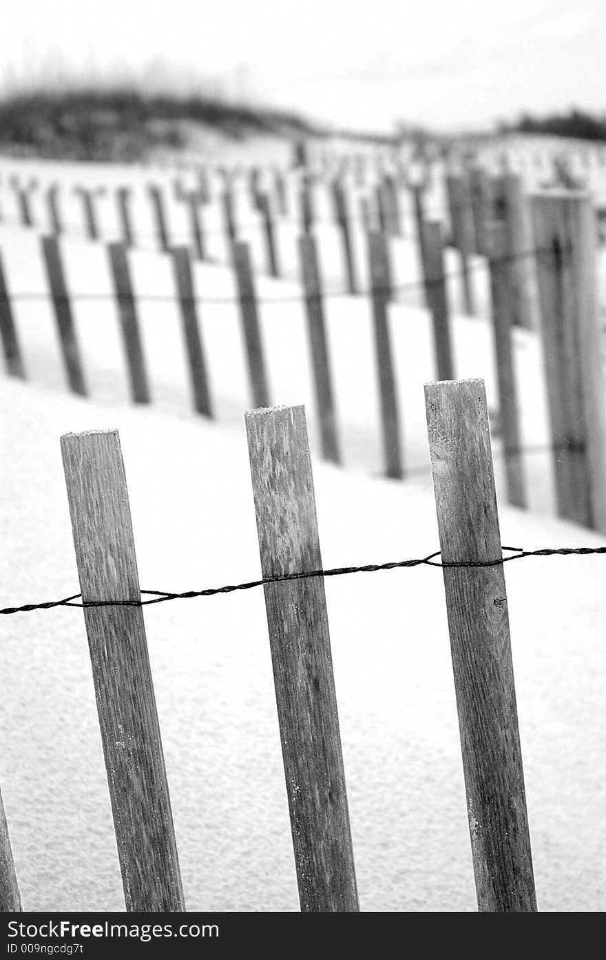 Sand dunes at the beach with grasses and fence. Sand dunes at the beach with grasses and fence.