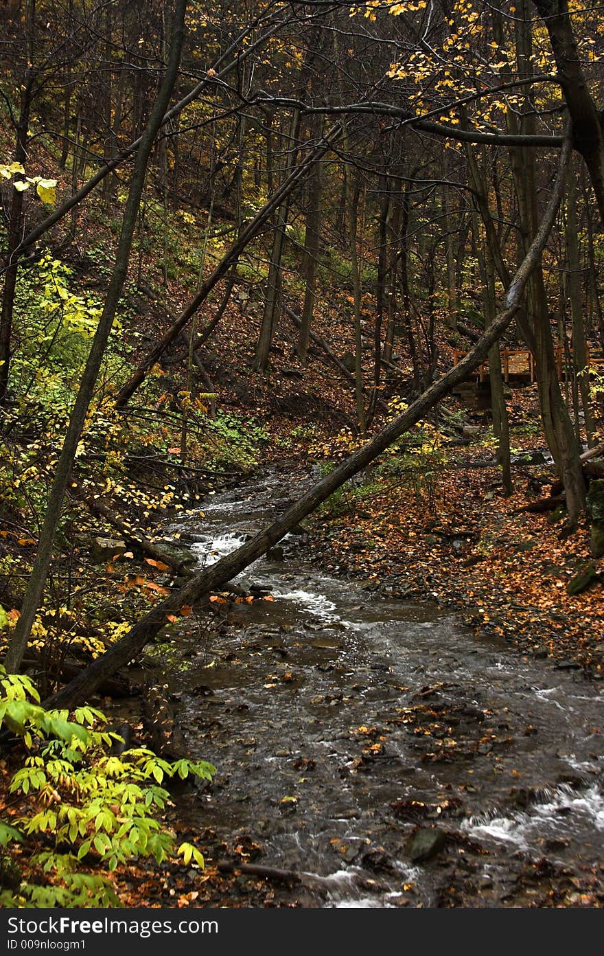 Bridge and Stream in Autumn