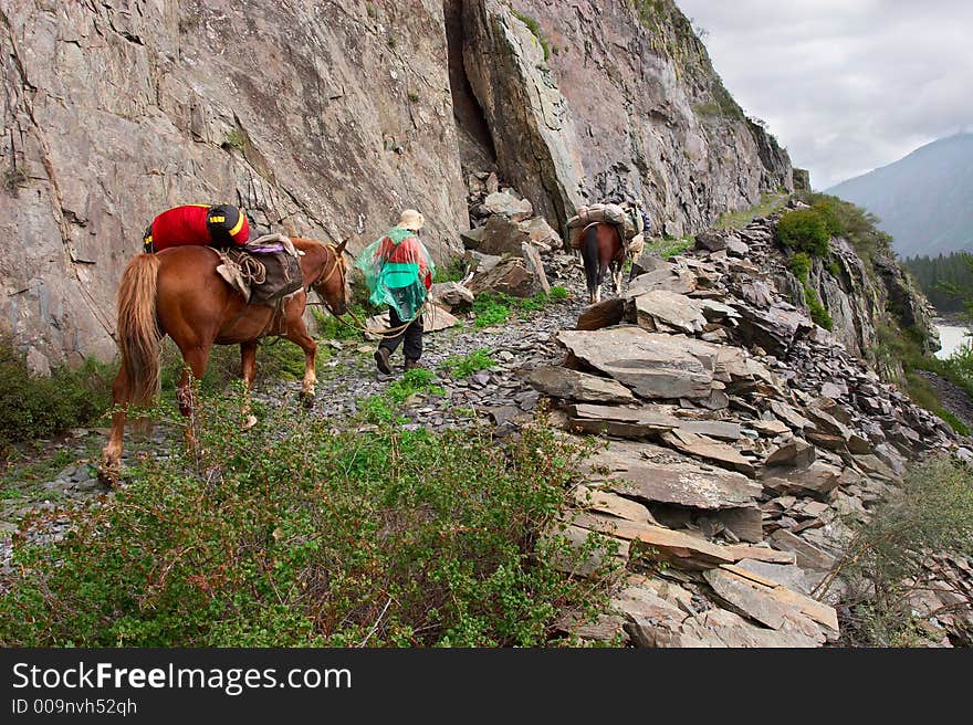 Road, mountains, horse and women. Altay. Russia.