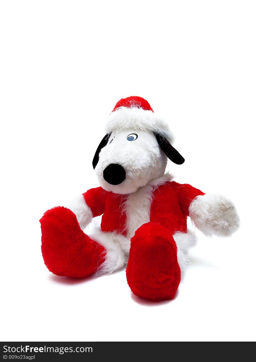 Christmas puppy in red clother isolated over white