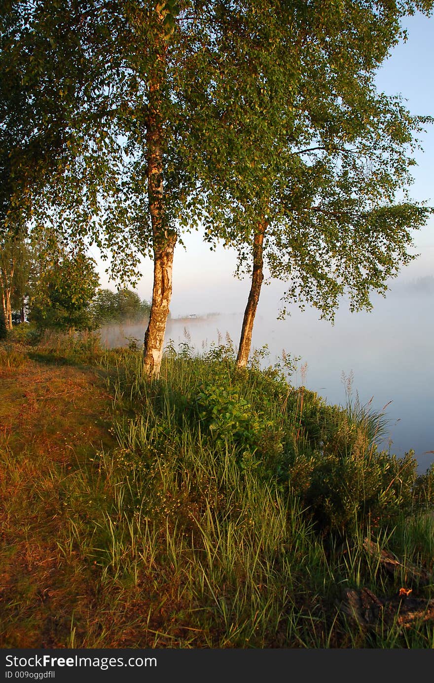 Early summer morning in Sweden. Early summer morning in Sweden