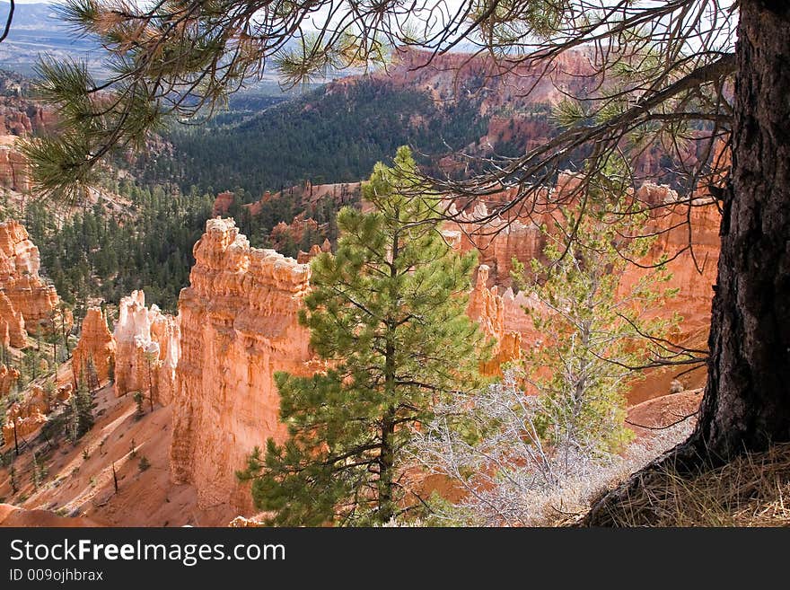 Bryce Canyon