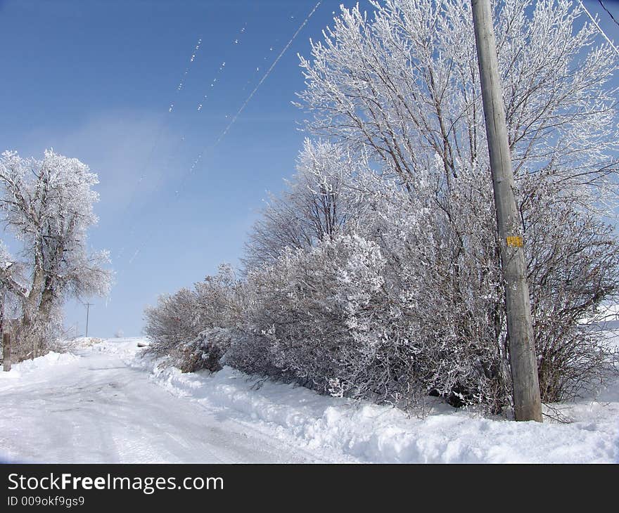 A frozen place in northern Utah where everyone knows everyone else. A frozen place in northern Utah where everyone knows everyone else.