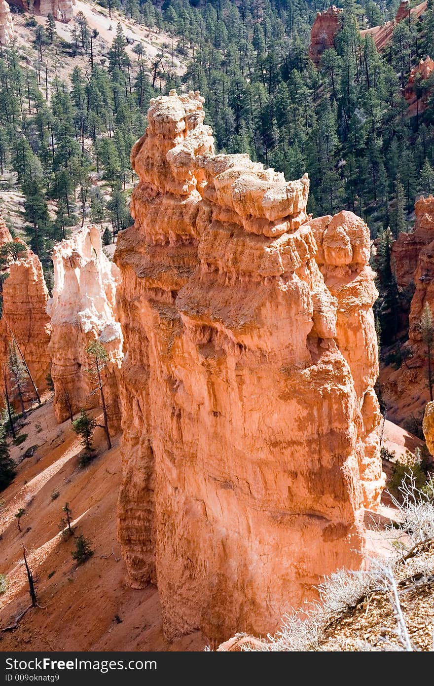 Bryce Canyon Tower