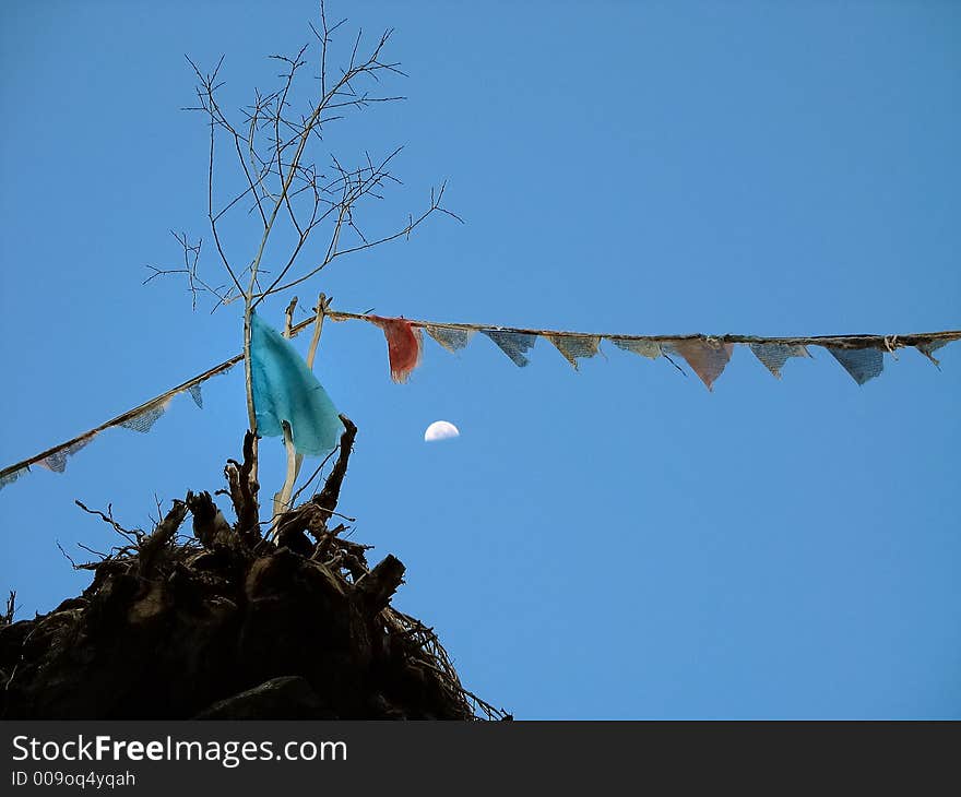 Tibetan prayer flags