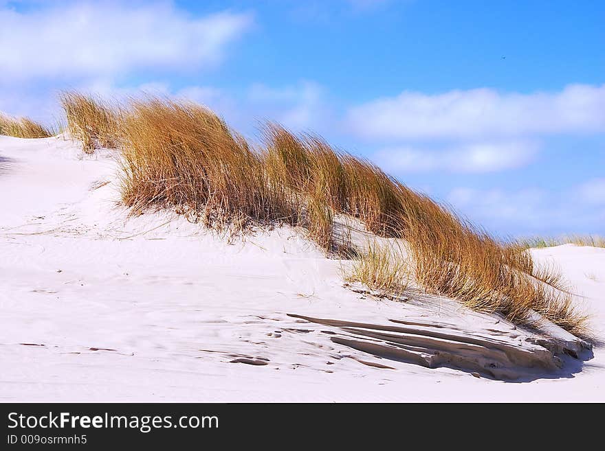 Sand dunes