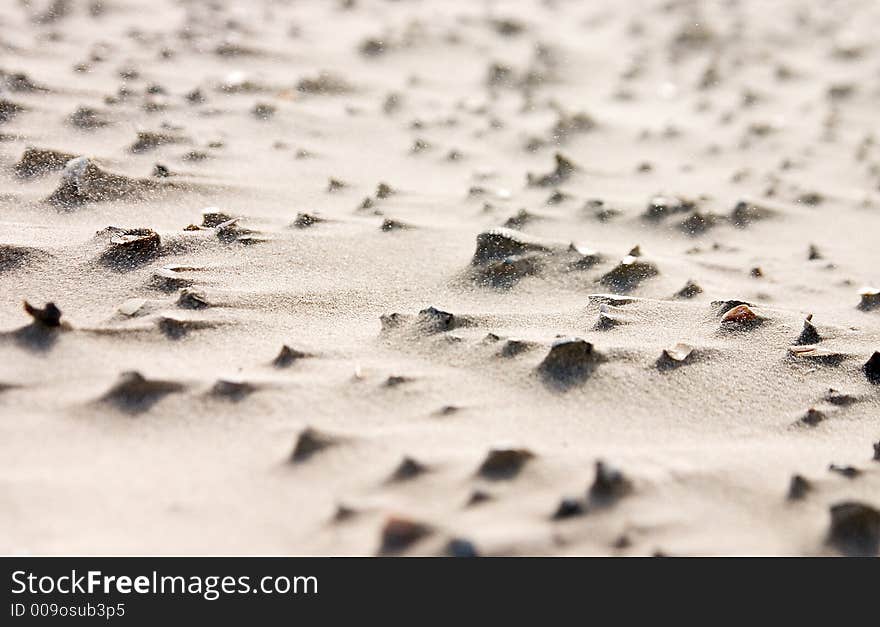 The wind has blown away the sand around small objects, leaving a spiky beach