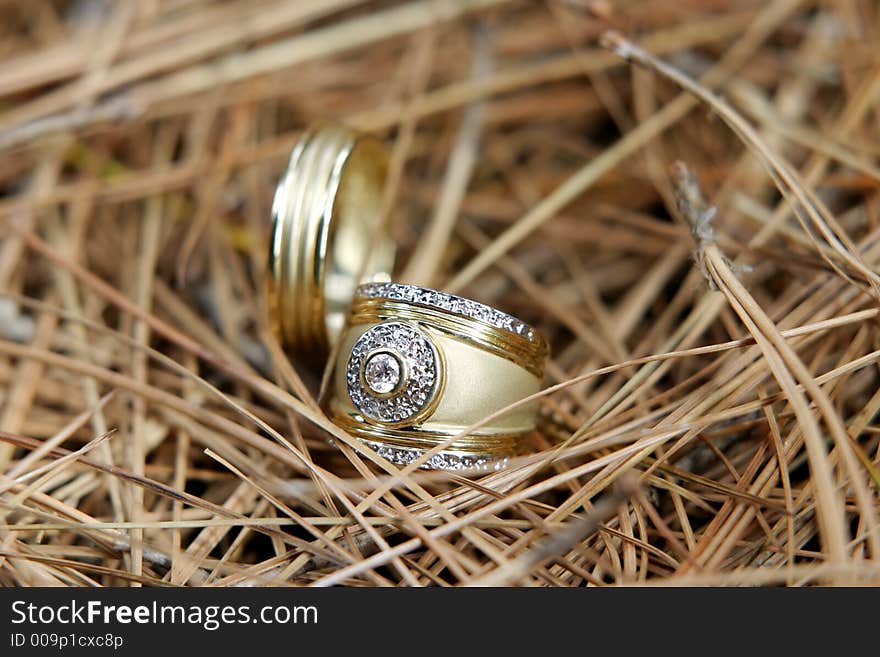 Two gold wedding bands on pine twigs