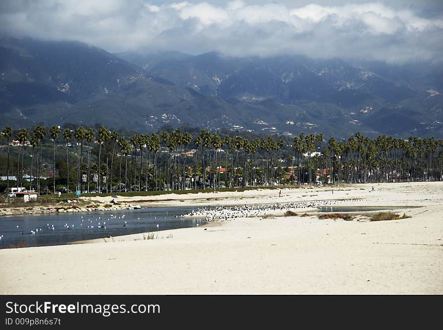 Coastline with beach