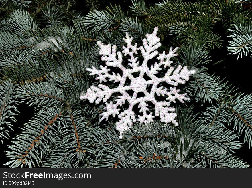 Snowflake On Fir Tree