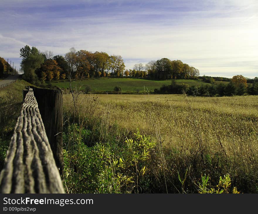 A field in the early morning autumn sunshine. A field in the early morning autumn sunshine.