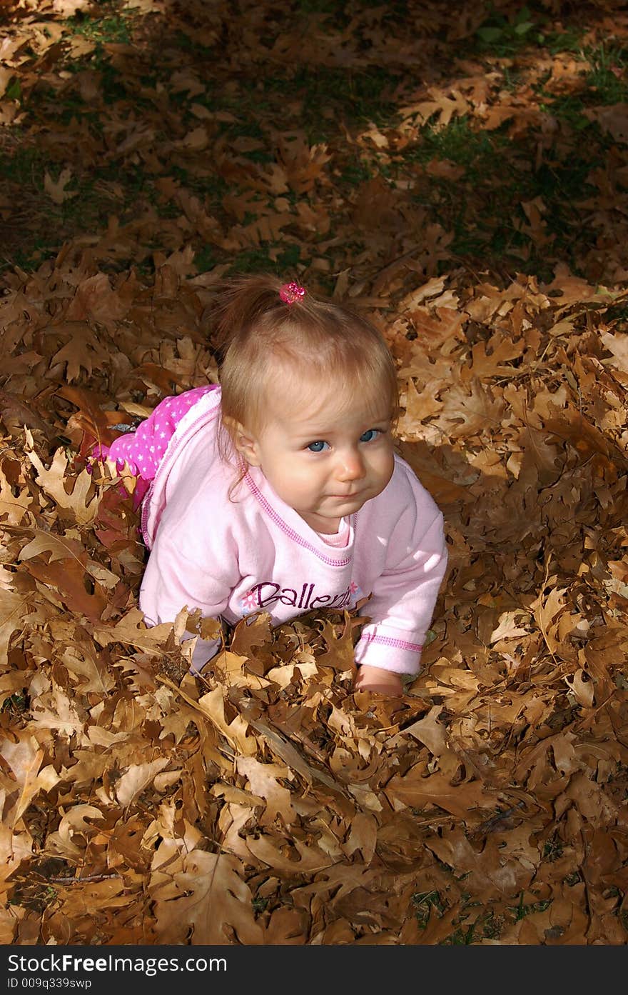 Baby Crawling in Leaves