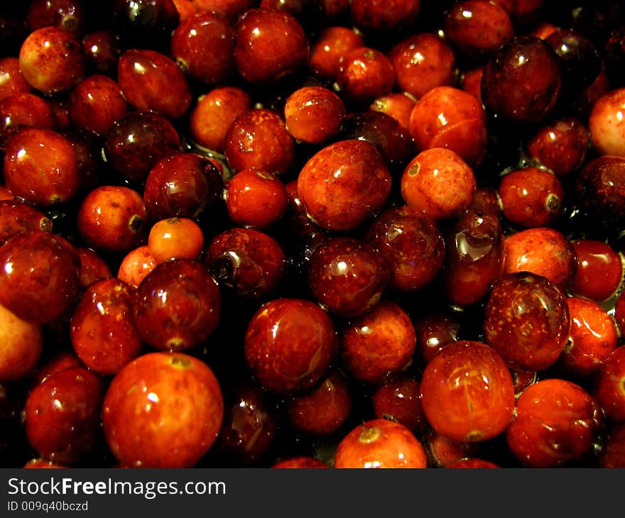 Close up of some shiny cranberries.