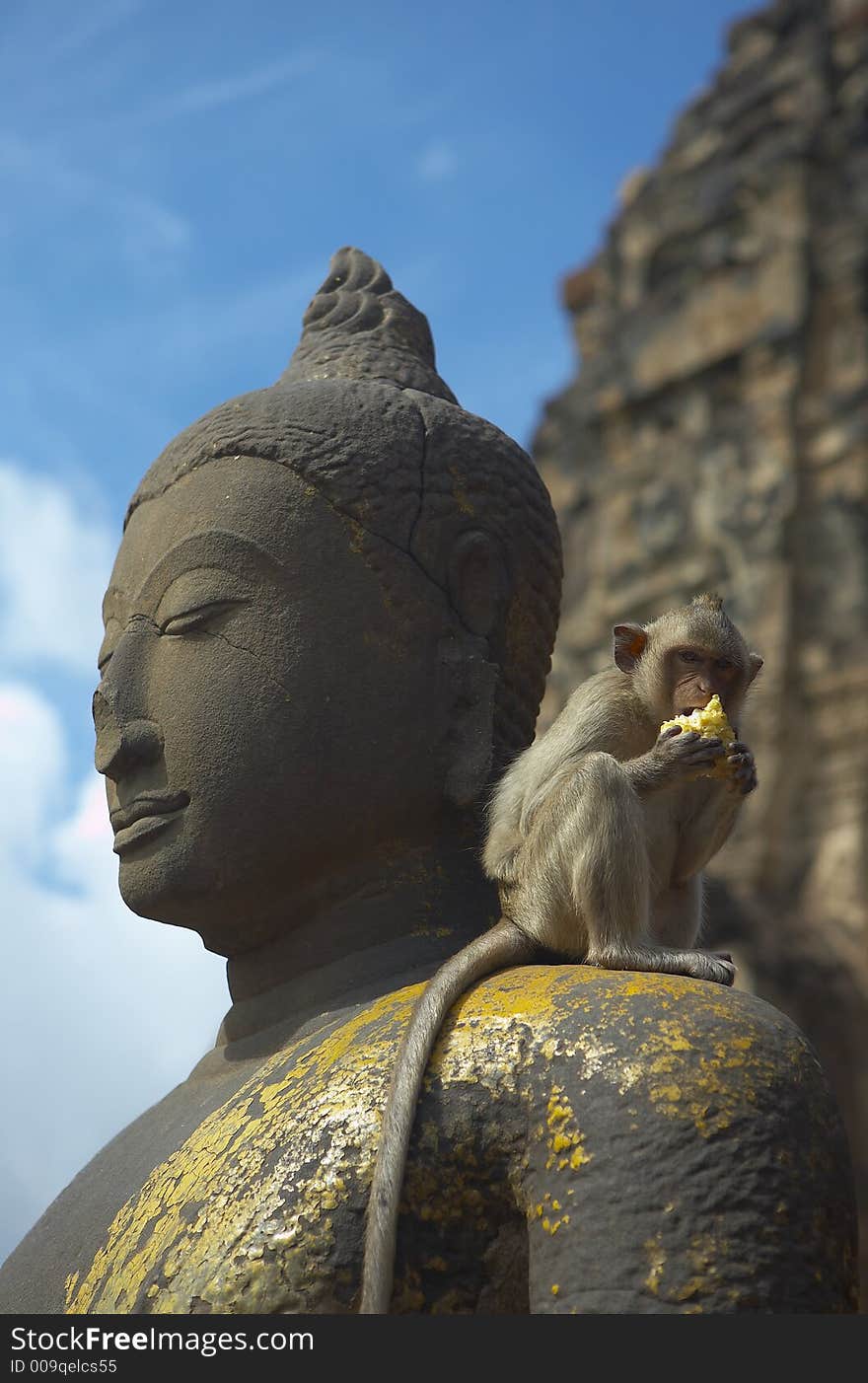 Monkey living in kala wat shrine in lopburi town, Thailand