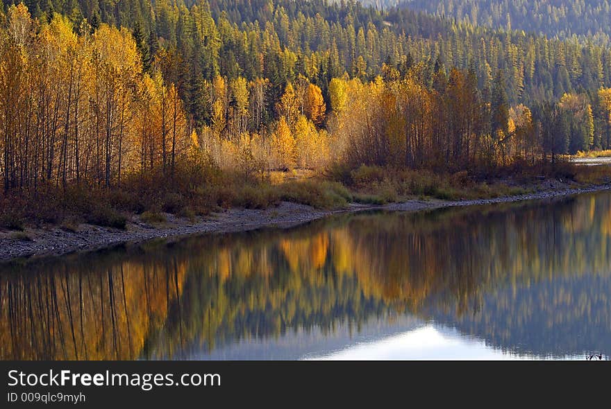 This image of the fall colors reflected in the Middle Fork of the Flathead River was taken in western MT. This image of the fall colors reflected in the Middle Fork of the Flathead River was taken in western MT.