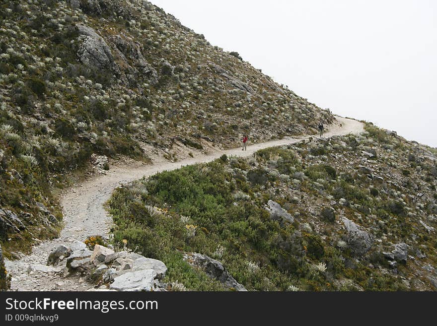 Path in mountains