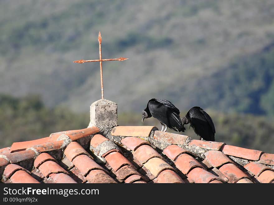 Two american black vultures sitting on the church tower in the Los Nevados village in Sierra Nevada de Merida, Andes. Two american black vultures sitting on the church tower in the Los Nevados village in Sierra Nevada de Merida, Andes